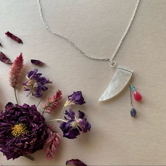 NFS - Picture 1 of 7